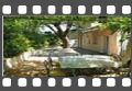 clip_image029.jpg